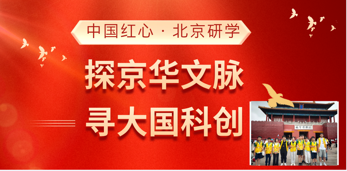 7bed8eee8b85877e65b71480e1957f9-898.png